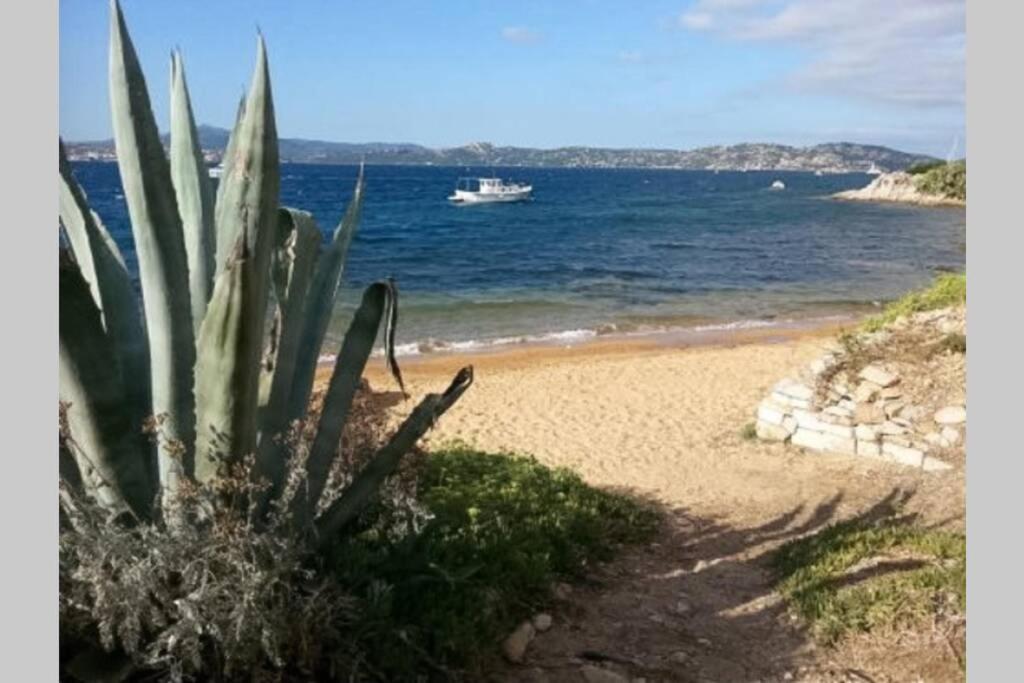 Apartament Casa Maddalenina Con Giardino, Vicino Al Mare! La Maddalena  Zewnętrze zdjęcie
